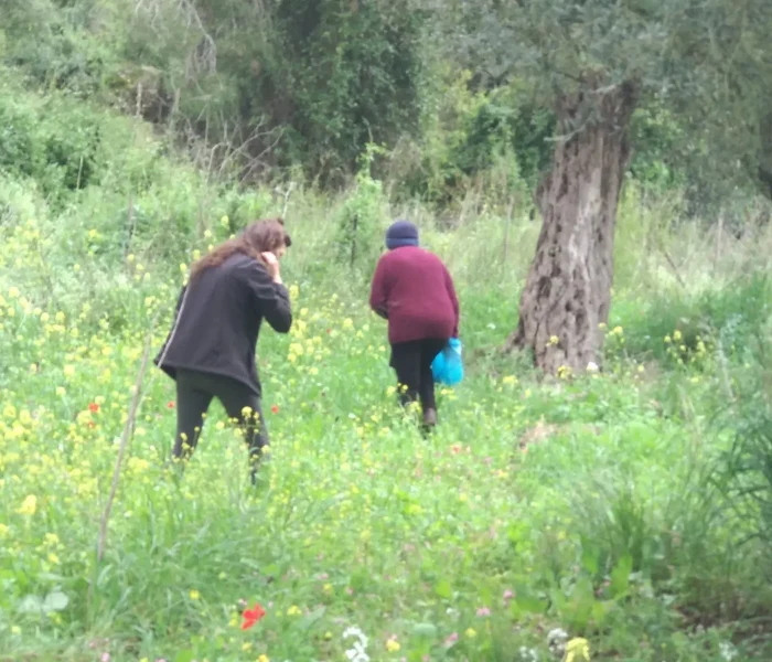 WhatsApp Image 2020-03-13 at 17.15.01 (1)